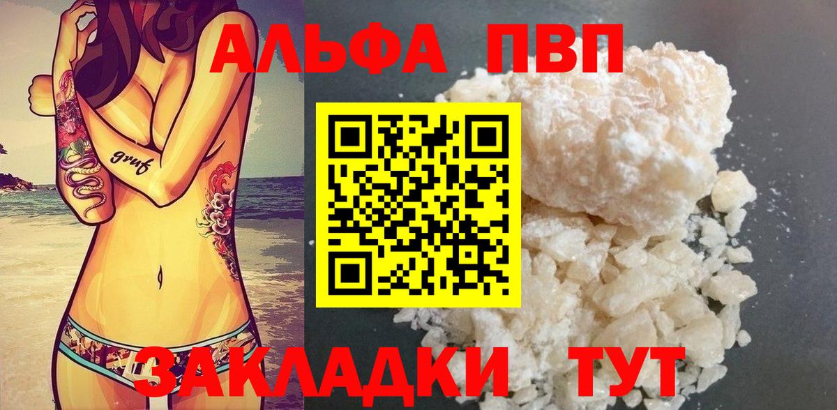 A PVP СК КРИС Выборг