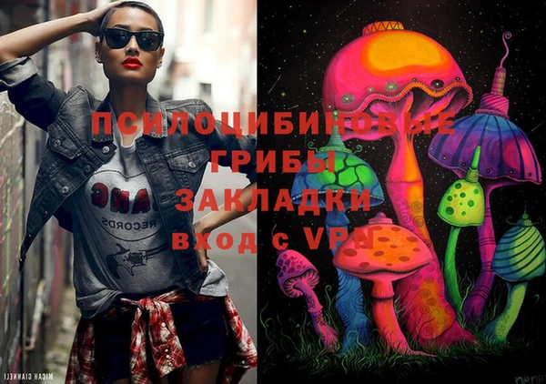 хмурый Покачи