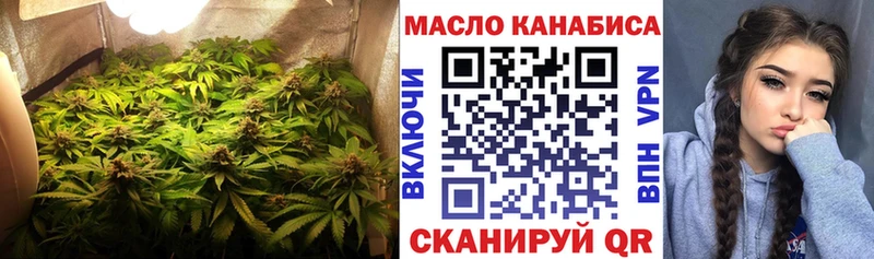 цены   Выборг  ТГК концентрат 