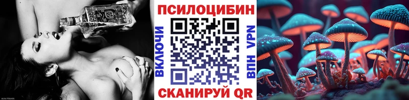 МЕГА   Выборг  Псилоцибиновые грибы мицелий  дарнет шоп 
