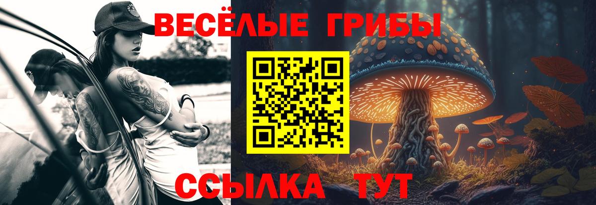 Галлюциногенные грибы Psilocybine cubensis  купить  сайты  Выборг  Вход с VPN 