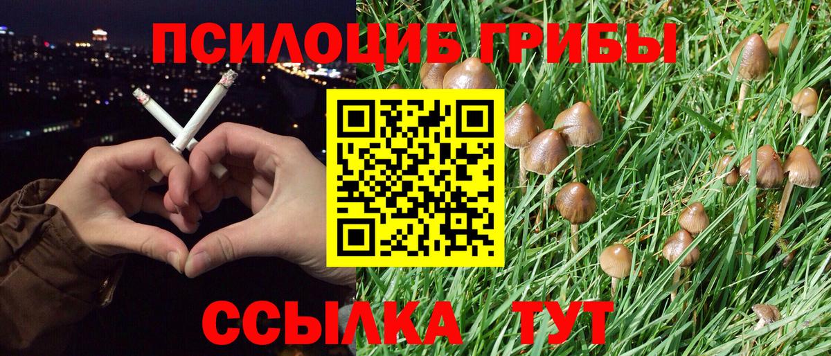 ГАШИШ  Выборг  МАРИХУАНА  Наркошоп  Меф МЯУ МЯУ   Меф  Вход с VPN 