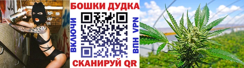 купить наркотики цена  Выборг  Каннабис гибрид 