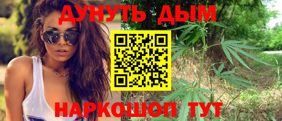 Марихуана индика  Бошки марихуана план  Выборг  Вход с VPN 